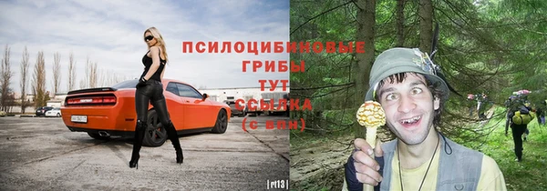 тгк Тихорецк