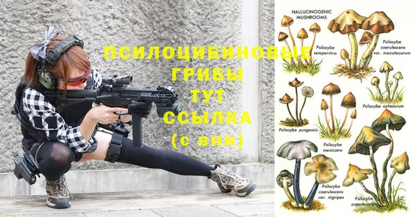 тгк Тихорецк