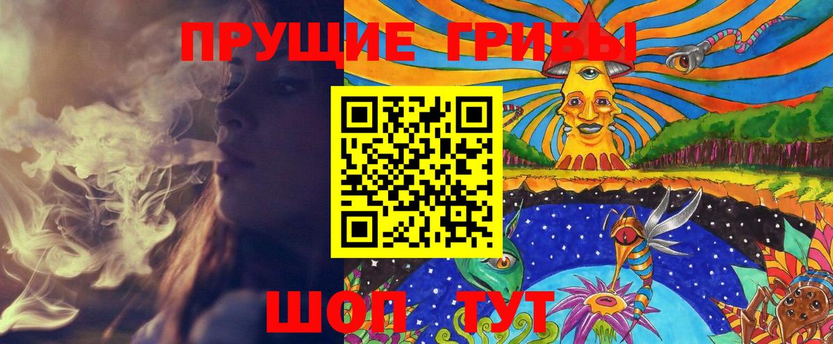 Галлюциногенные грибы Psilocybe Тында
