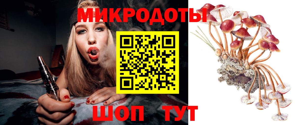 Тында  Псилоцибиновые грибы прущие грибы  Псилоцибиновые грибы Magic Shrooms  где можно купить   Вход с VPN 
