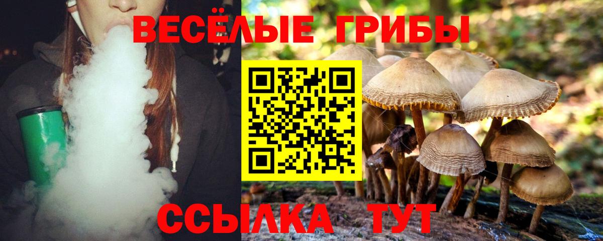 Псилоцибиновые грибы Psilocybine cubensis  Тында 